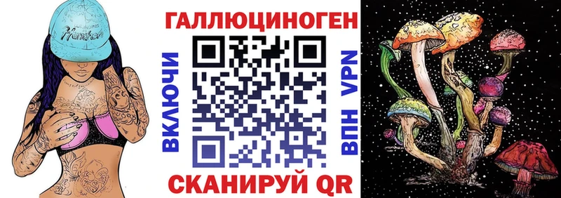 где купить   Малоархангельск  Псилоцибиновые грибы Psilocybe 